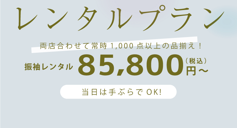 レンタルプラン85,800円から