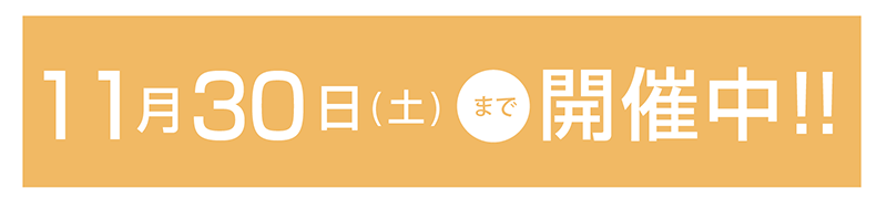 11月30日まで開催中